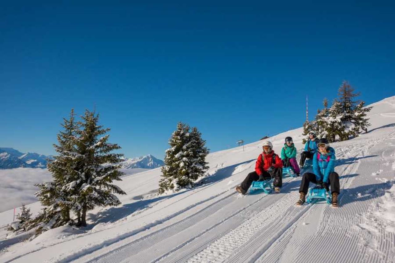 Niederhorn Schlitteln Tageskarte inkl. Schlittenmiete Ticket ab Interlaken