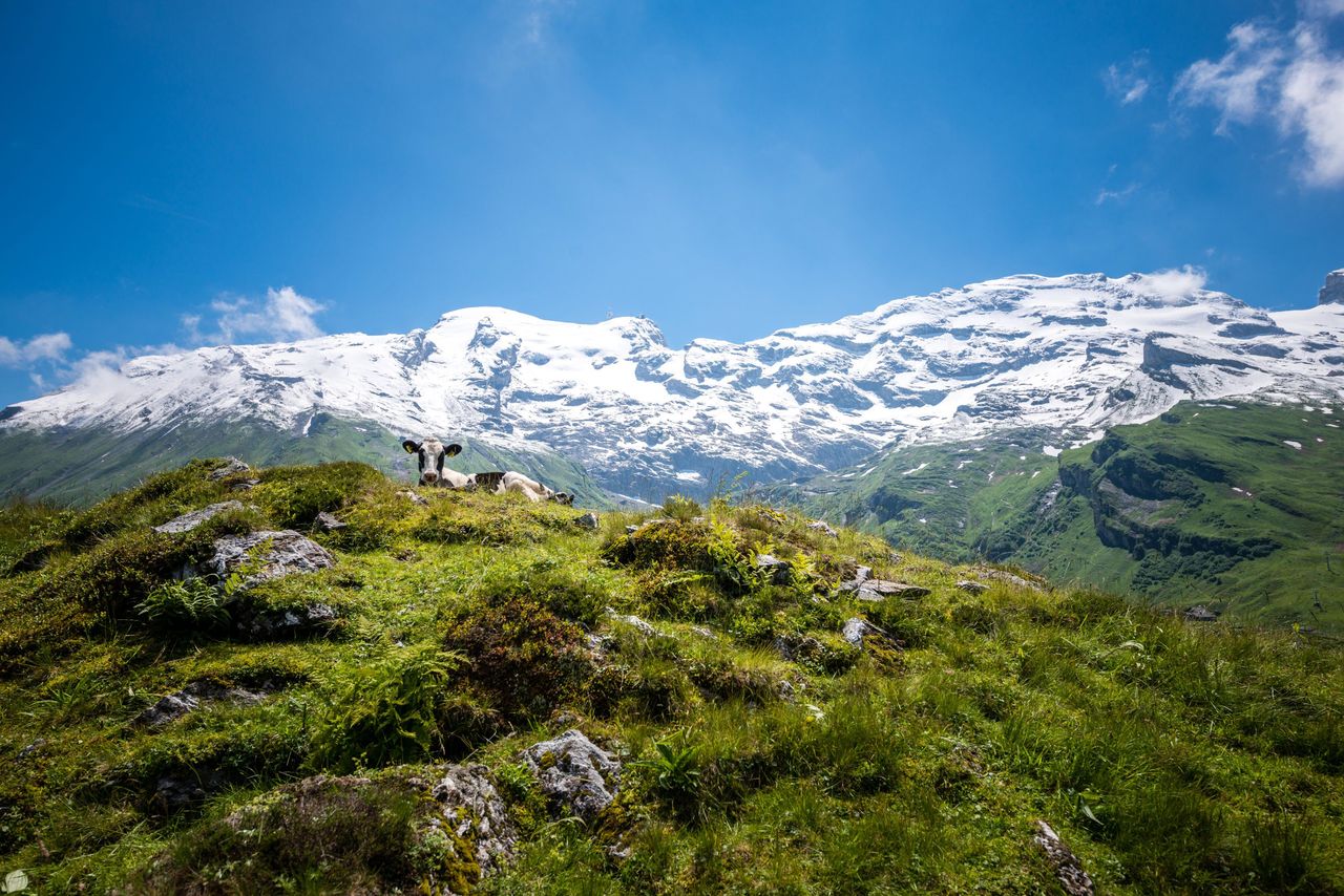 Gletscher-Abenteuer auf dem Titlis
