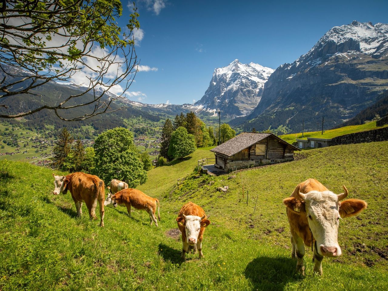 Bus Ticket Grindelwald - Bussalp
