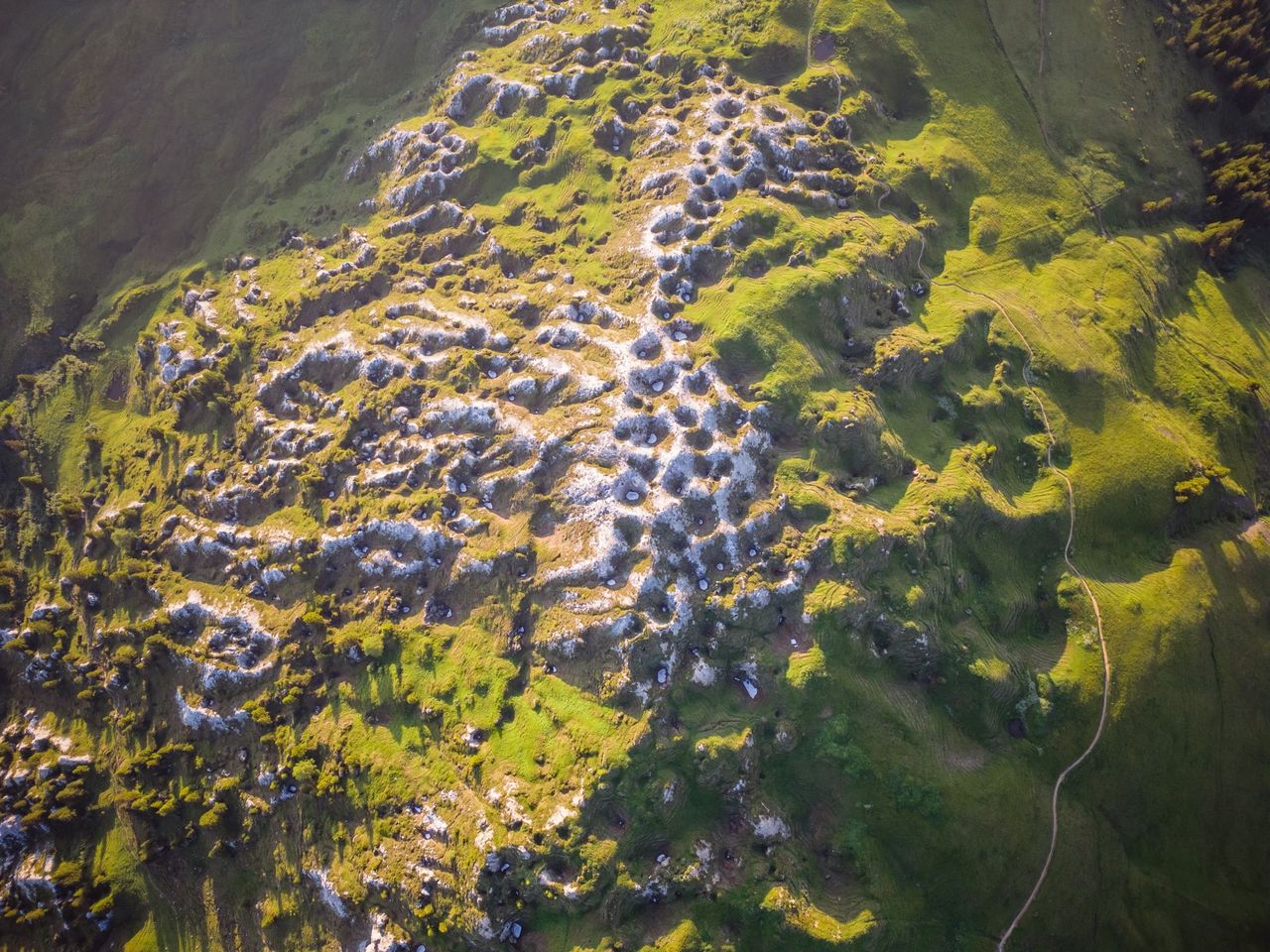 Lenk: Höhenrundweg Gryden mit Bergbahnticket Betelberg