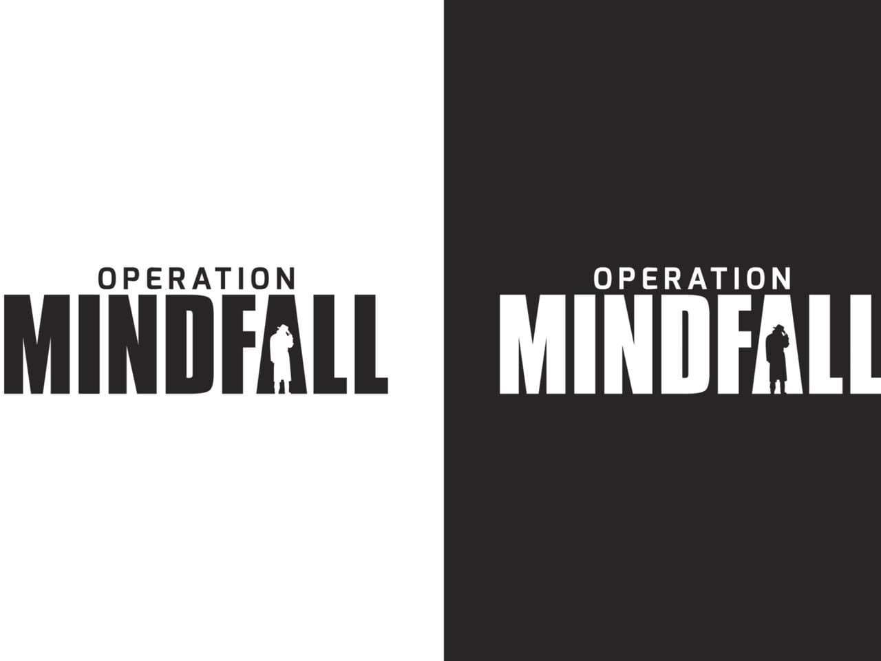 "Operation Mindfall" Outdoor Escape Mission Winterthur