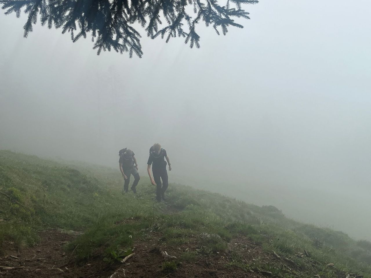 Niesen private Wanderung mit einem Schweizer Triathleten ab Spiez