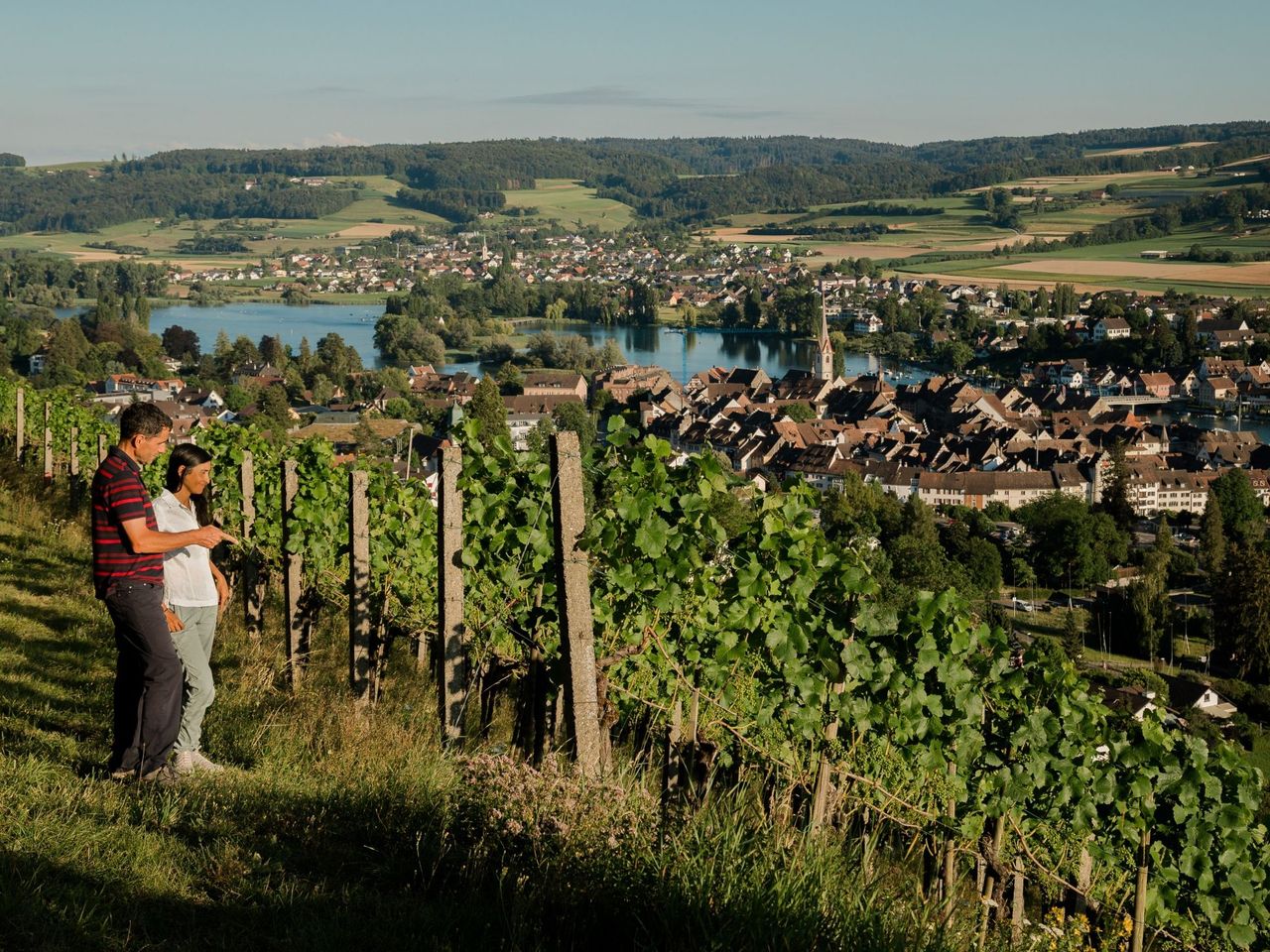 Private Degustation Wein und Schokolade in Stein am Rhein
