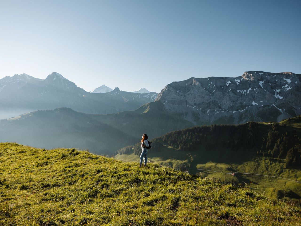 Ticket für den Blumenweg am VogellisiBerg in Adelboden