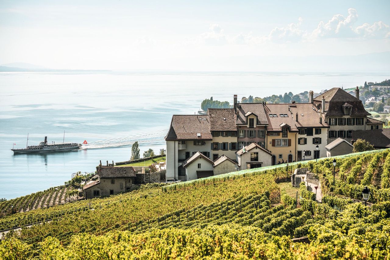 10 Tage Schweiz Lavaux