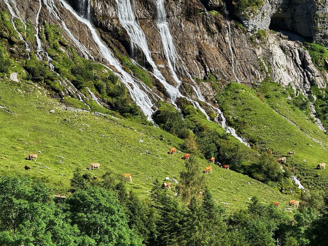 "Engstlenalp, See und Käsedegustation" - Private E-Bike-Tour ab Interlaken