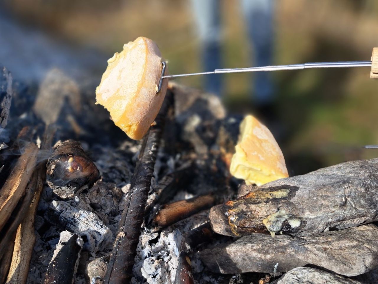 Maultiere, Natur & Raclette am Seeufer