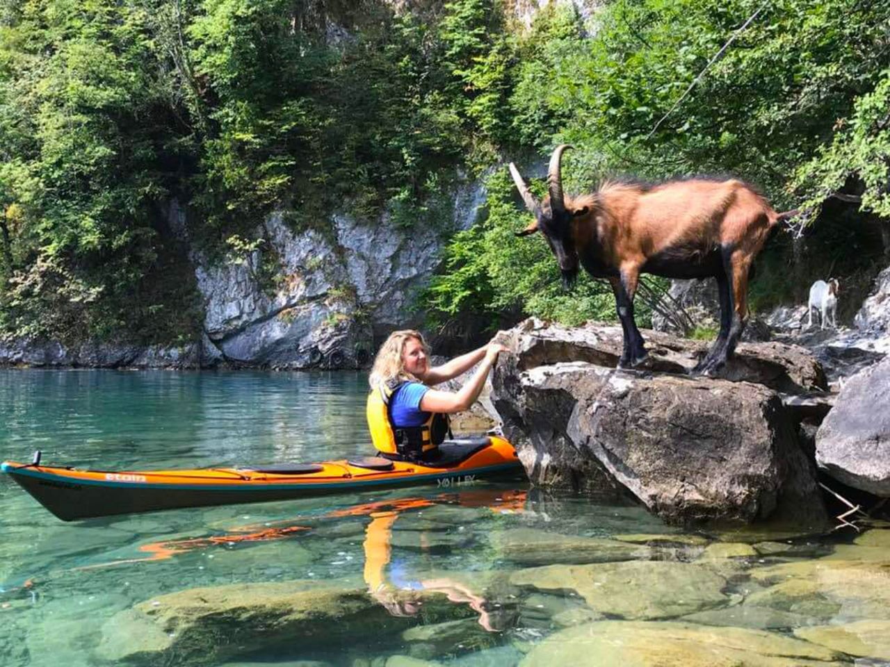 Seekajak oder Kanadier Miete Vierwaldstättersee ab Brunnen