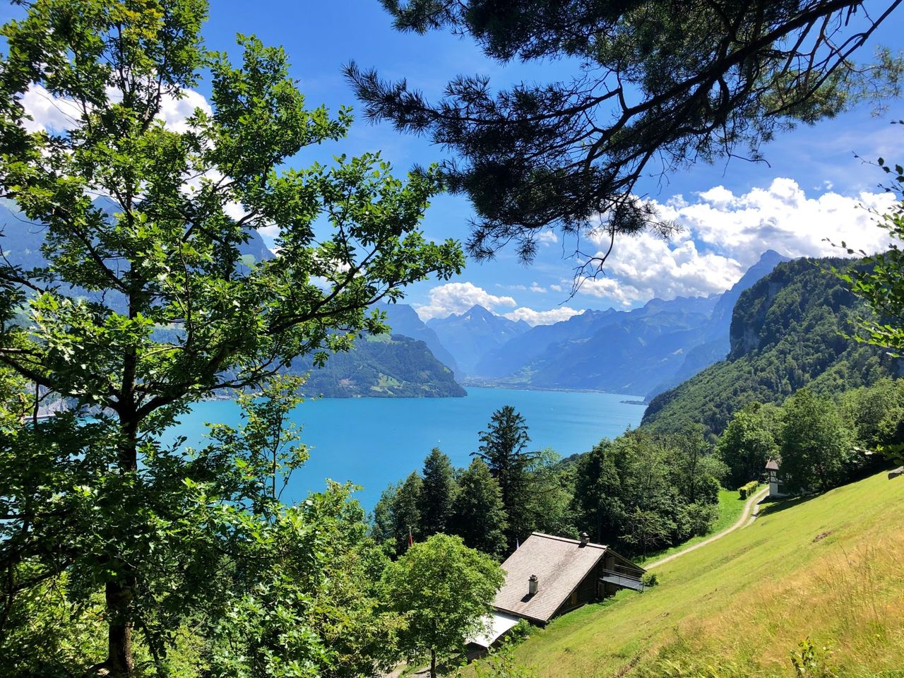 Ticket funicular Seelisberg from Treib