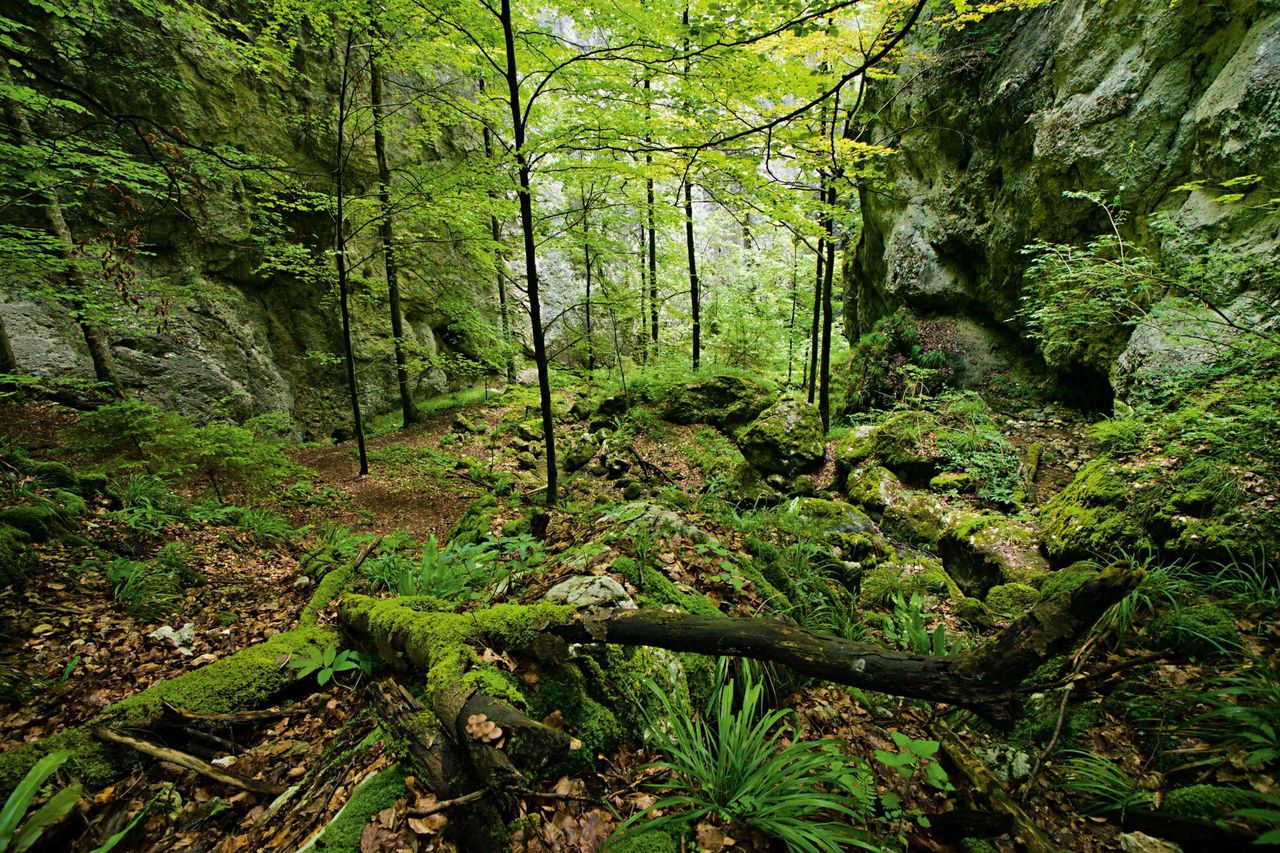 Naturpark Thal