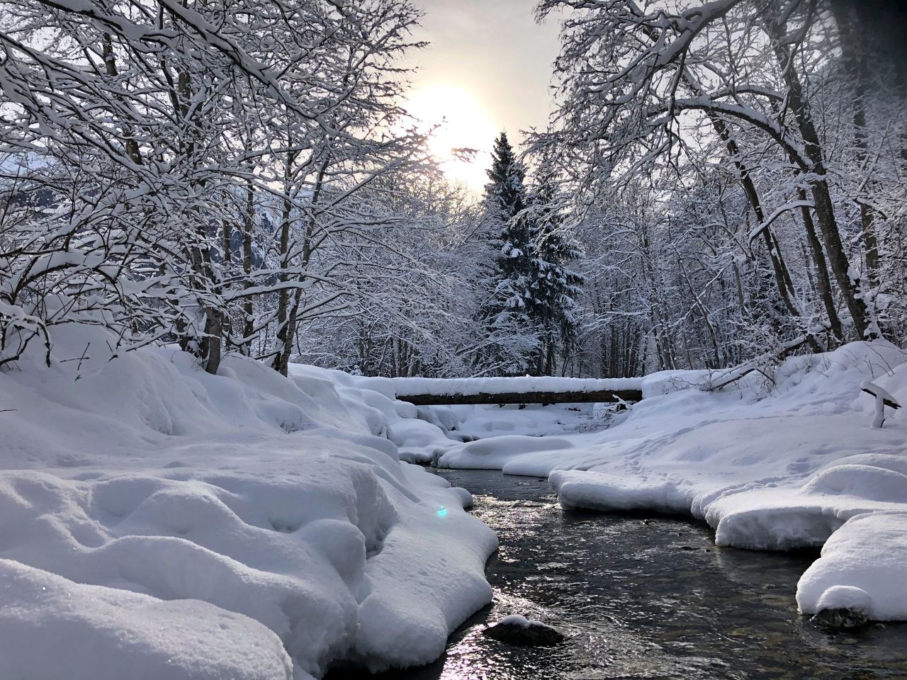 Winter in der Schweiz