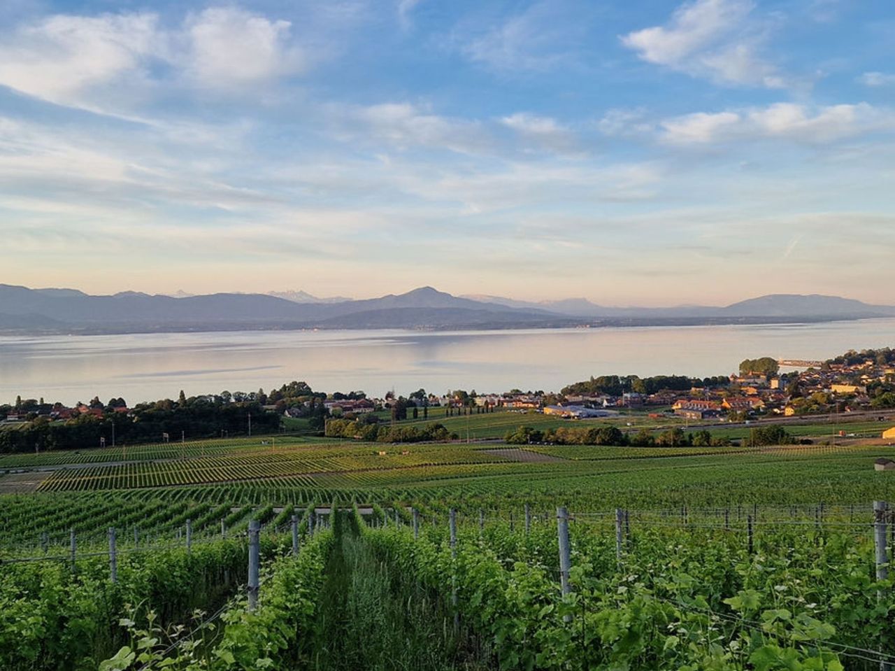 Wein Escape Game am Genfersee