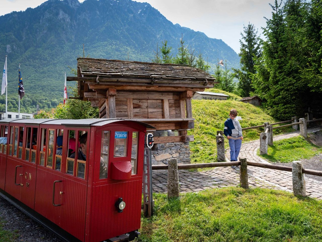 Ticket Swiss Vapeur Parc in Port Valais