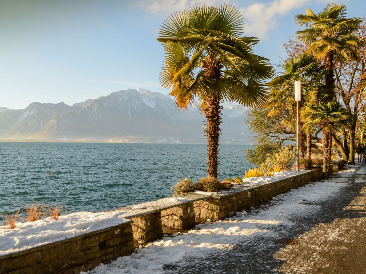Ab Lausanne: Bus- und Schiffstour nach Vevey, Montreux und Schloss Chillon   