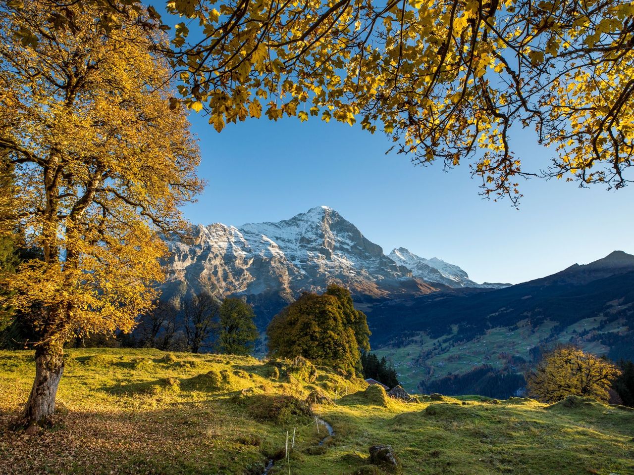 Bus Ticket Grindelwald - Waldspitz