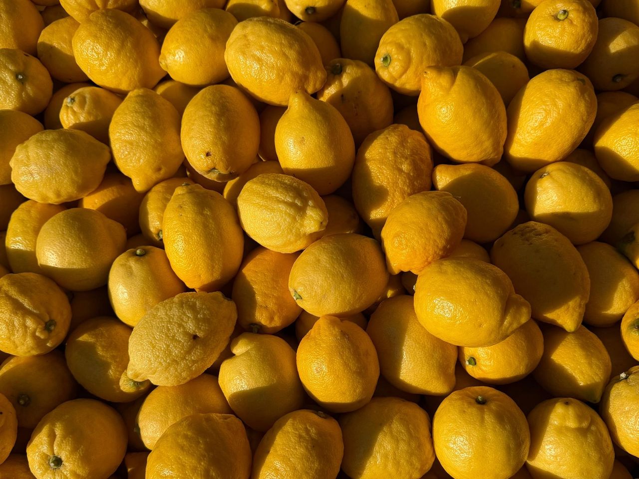 Öffentlicher Limoncello Kurs in Le Mont-sur-Lausanne