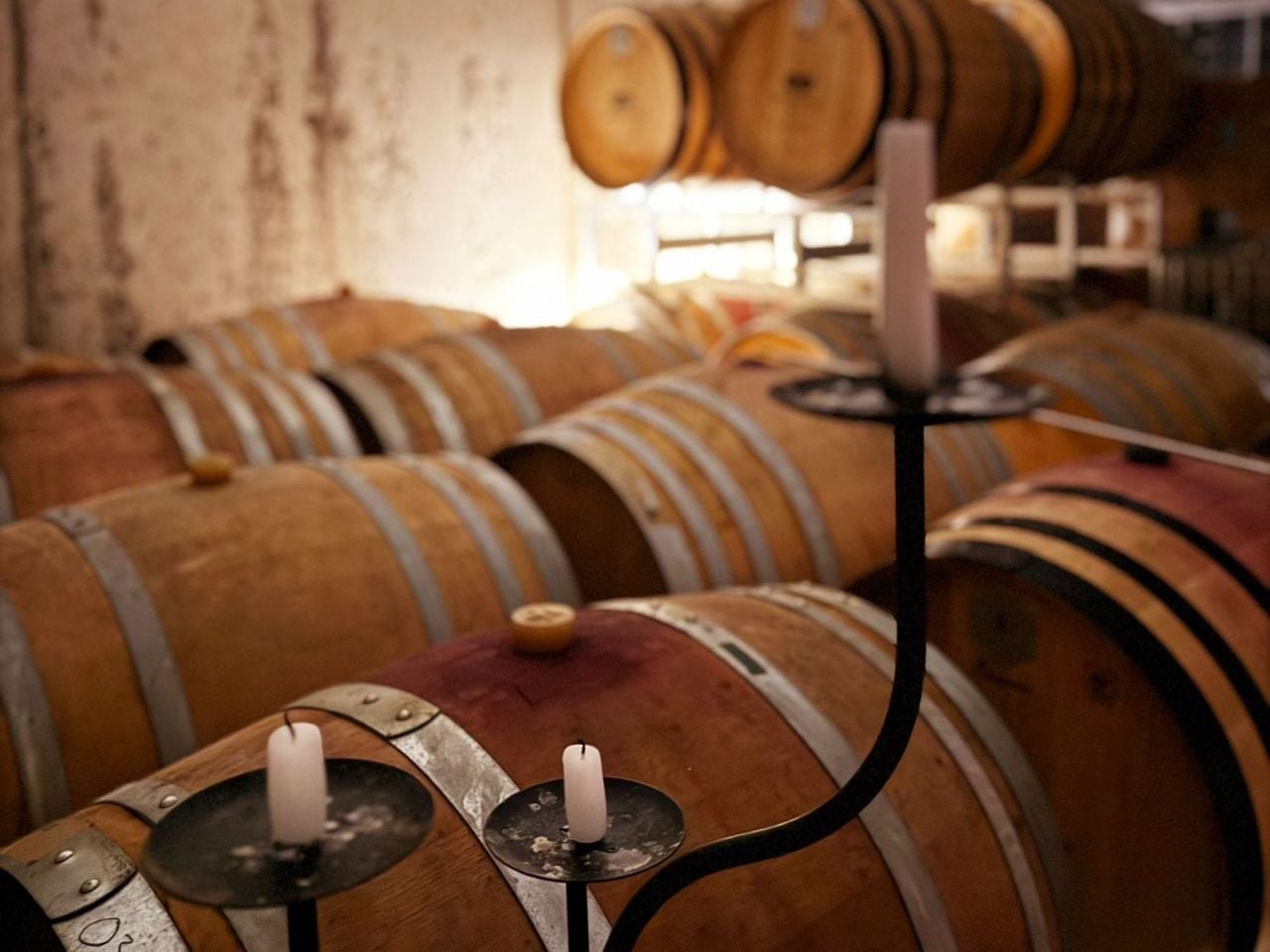 Piaz Merlot Weintour mit Degustation in Arogno