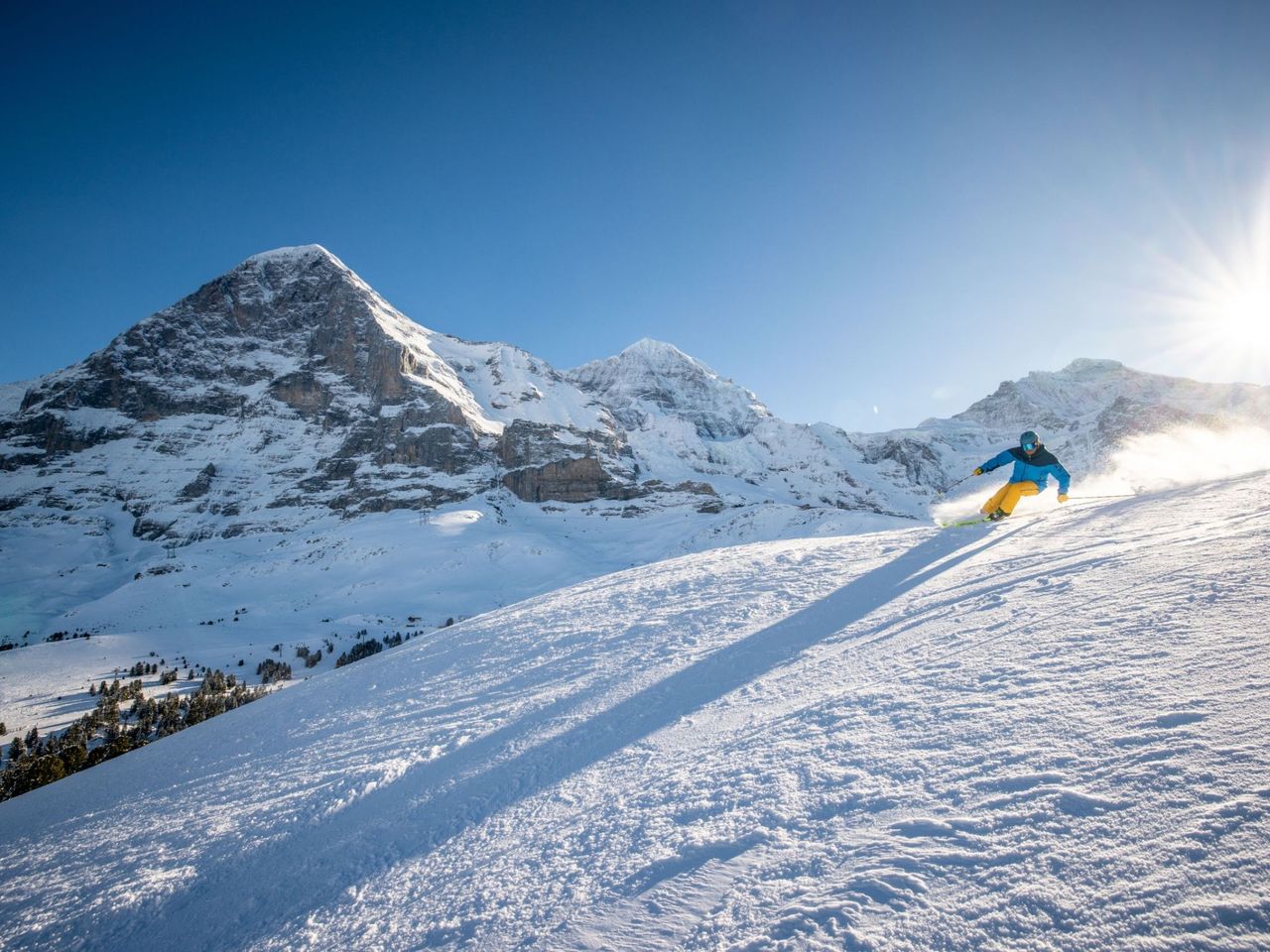 Grindelwald Ski Pass
