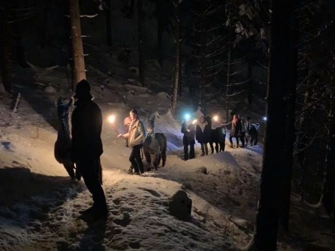 Lama und Alpaka Trekking mit Outdoor Fondueplausch Liechtenstein