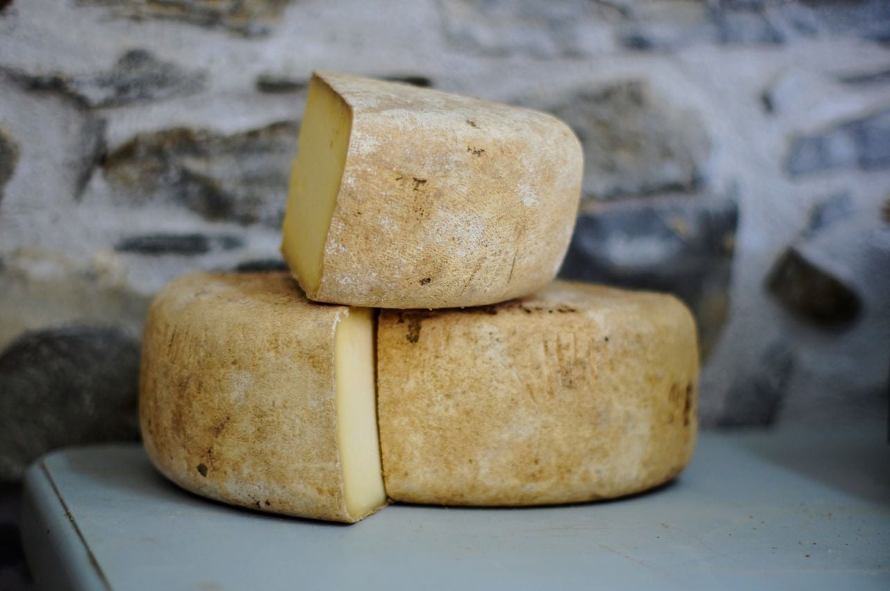 Hike alpine cheese dairy Prasüra in Engadin
