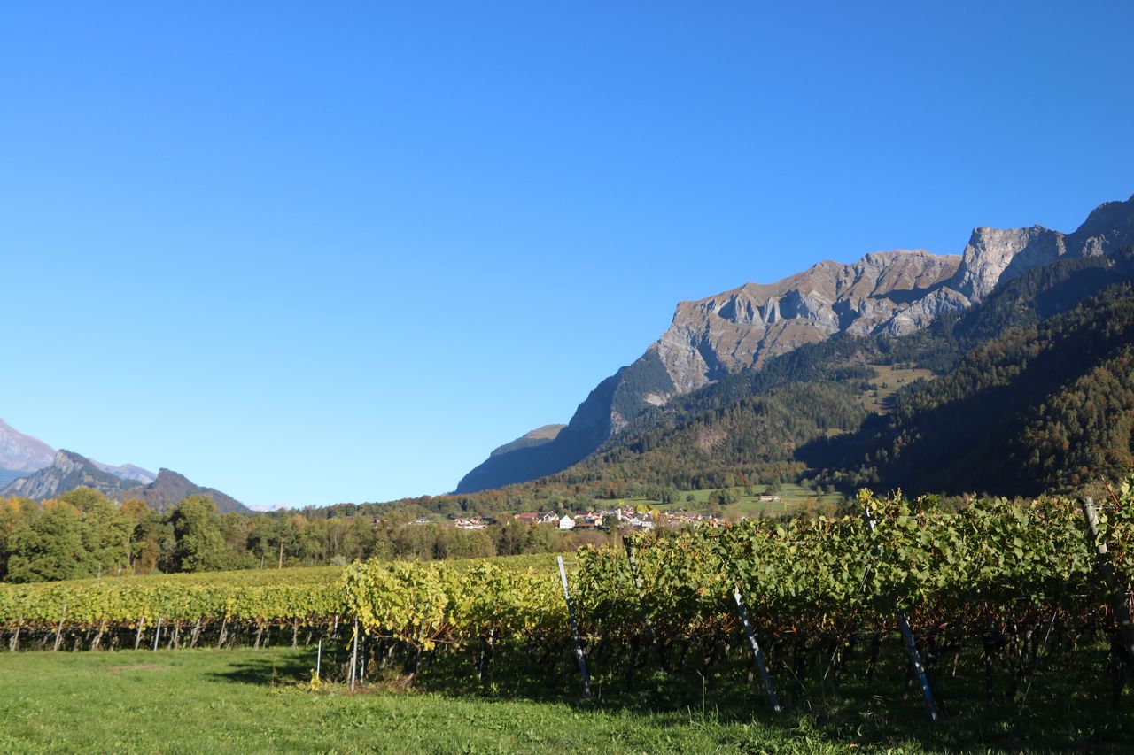 E-Bike Weintour Bündner Herrschaft