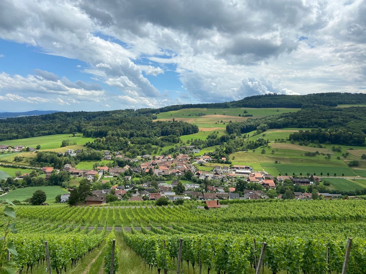 Weinreise ins Schenkenbergertal als geführte Wanderung 