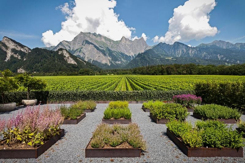 Führung und Degustation im Weingut Davaz