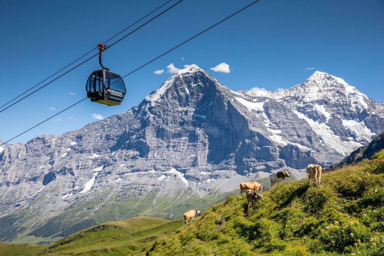 Wanderticket Grindelwald - Holenstein mit der Gondelbahn