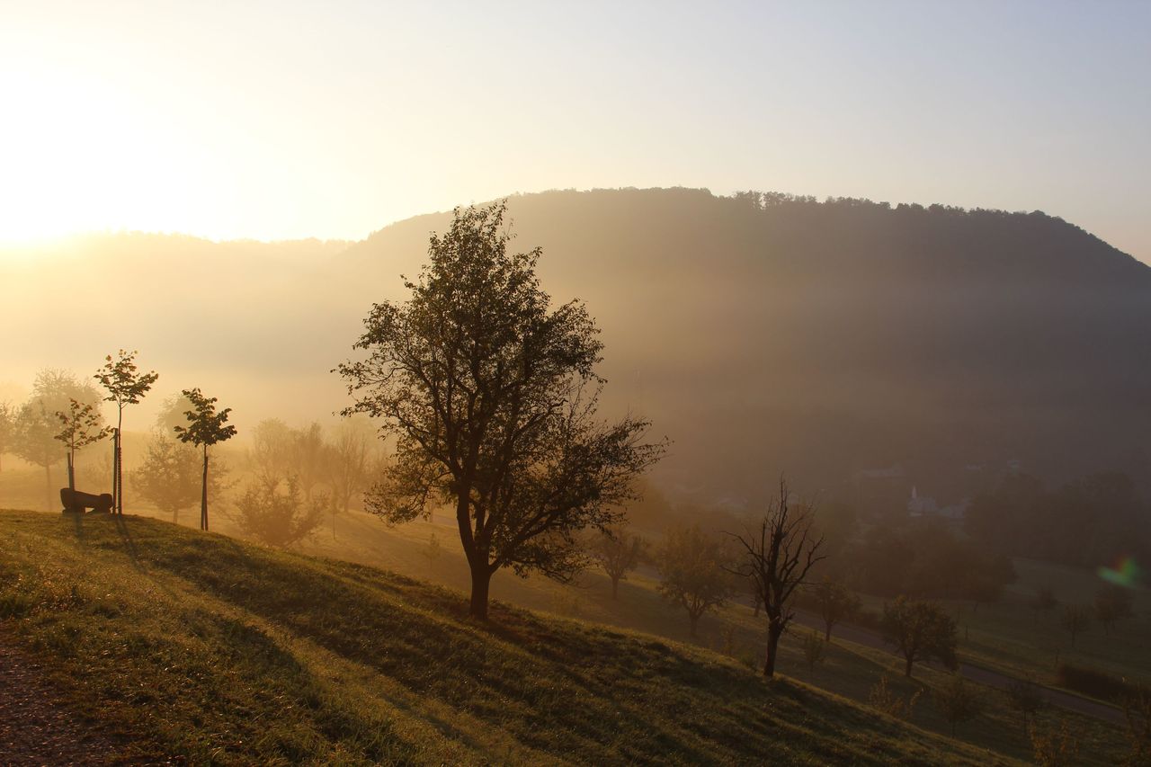 "Nature awakening with all senses" guided hike in Jurapark Aargau