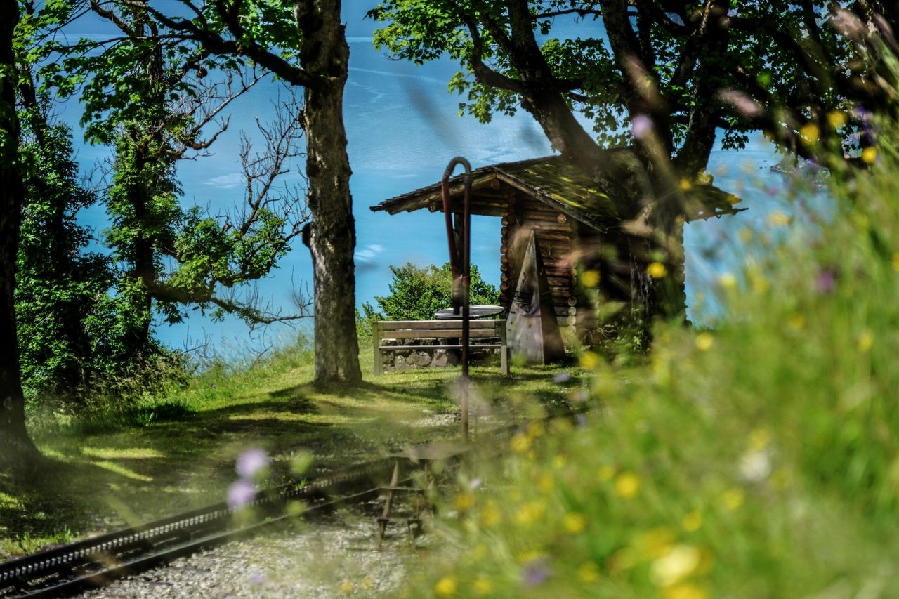 Ticket Brienz Rothorn Bahn