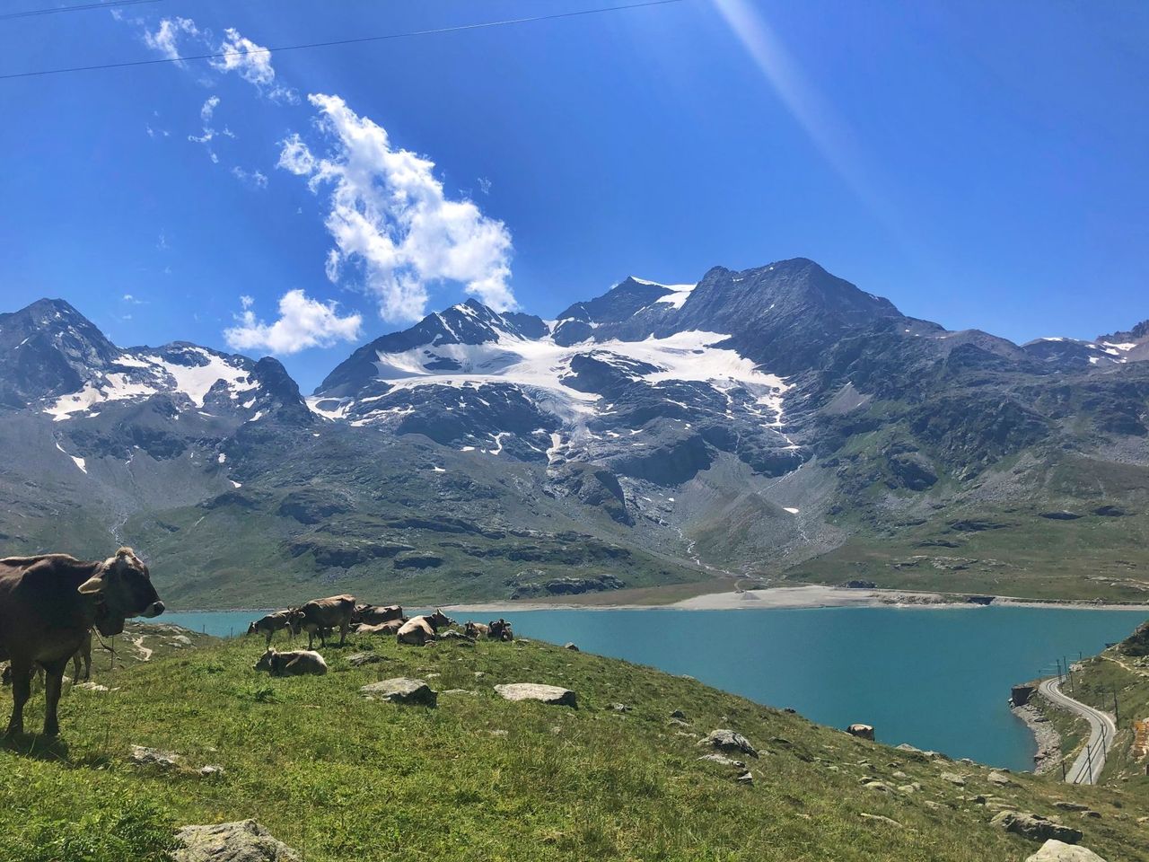 Mountain bike tour Bernina Express Grisons