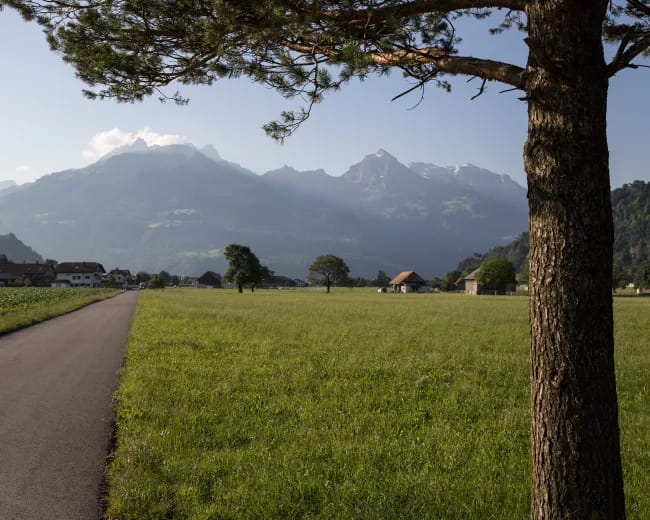 Bilten