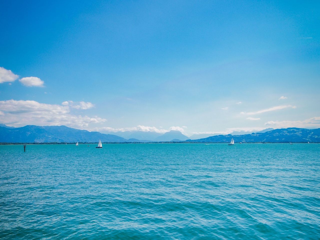 Game menu incl. boat trip Lake Constance from Romanshorn