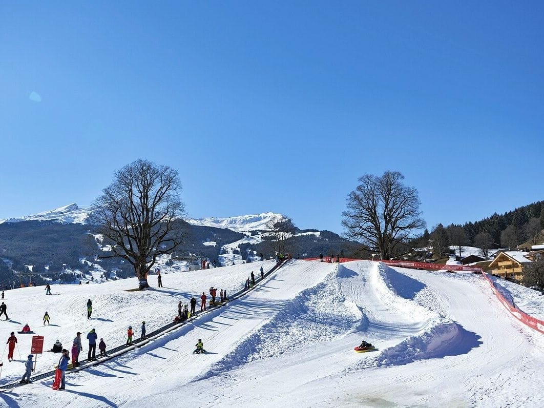 From Zurich: Day trip to Grindelwald with ski course for beginners