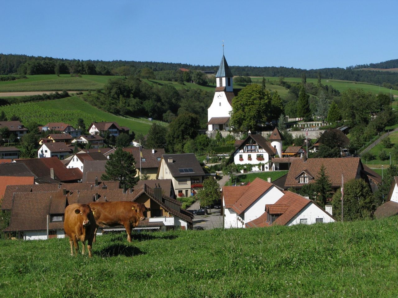 Vortrag “erste Schweizer Ärztin” im Jurapark Aargau