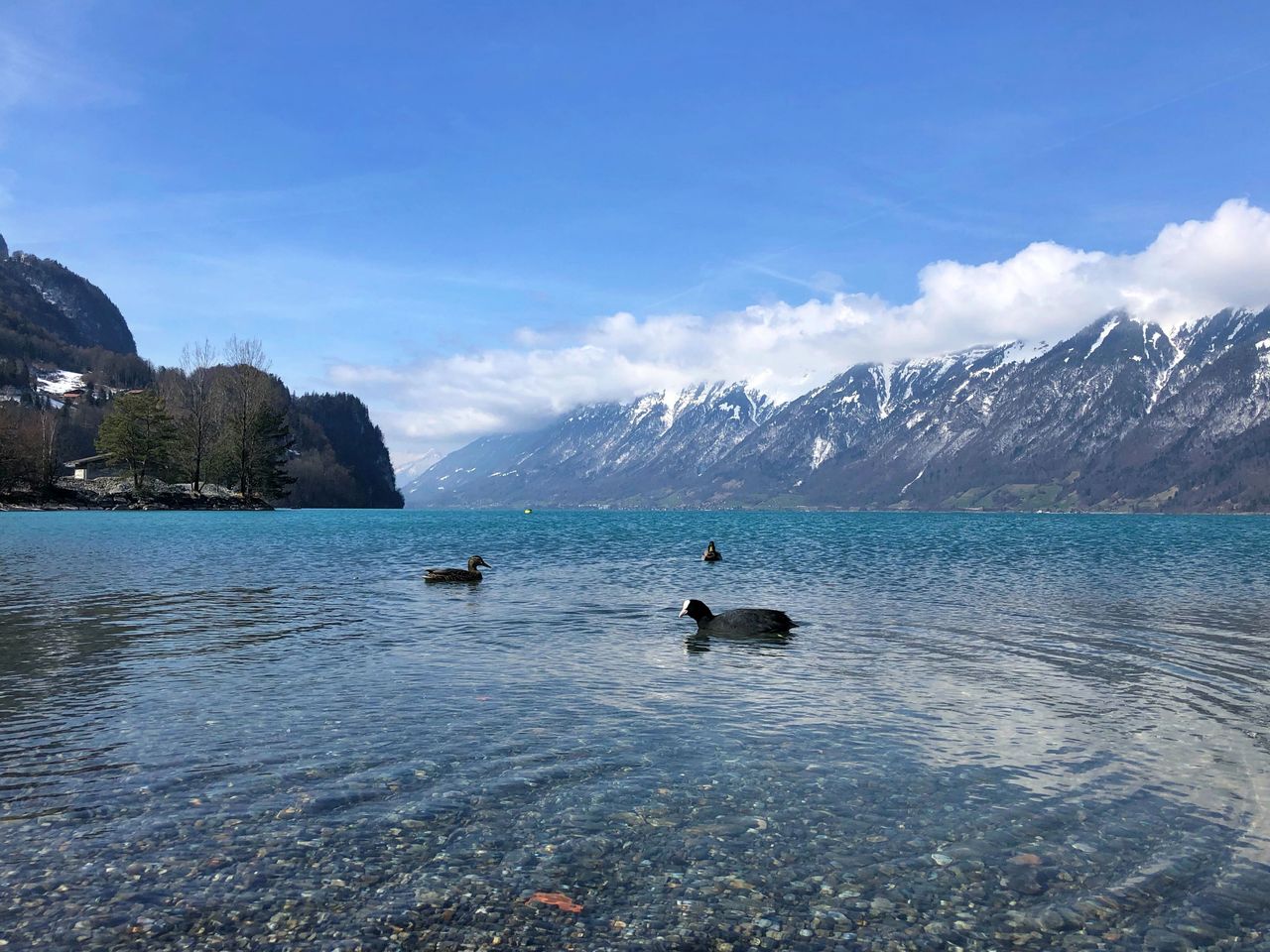 Motorboot prüfungsfrei mieten ab Brienz