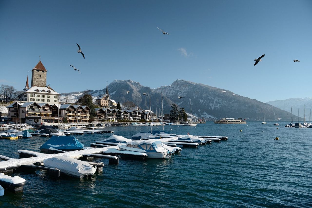 Tageskarte Thunersee Winter