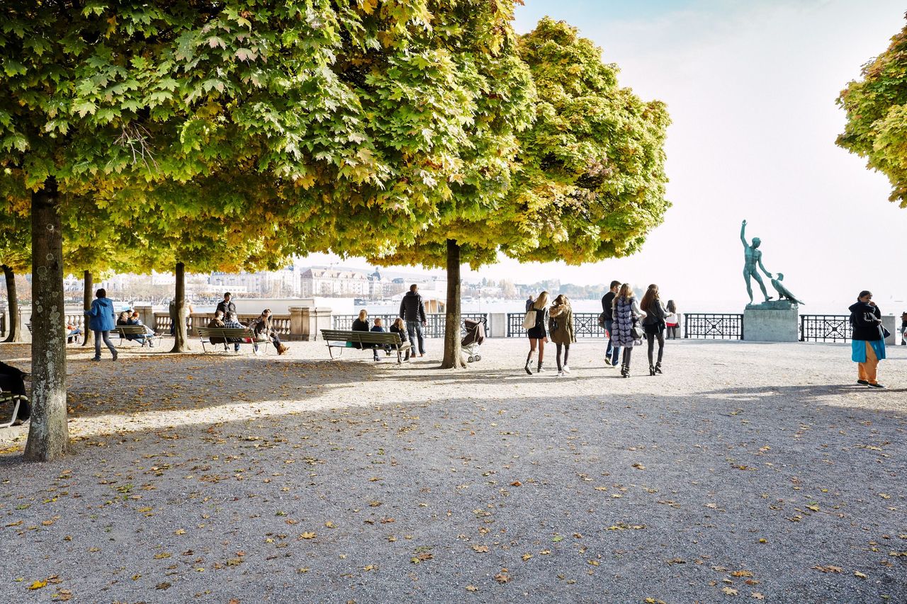 Zürich Card für 24 oder 72 Stunden
