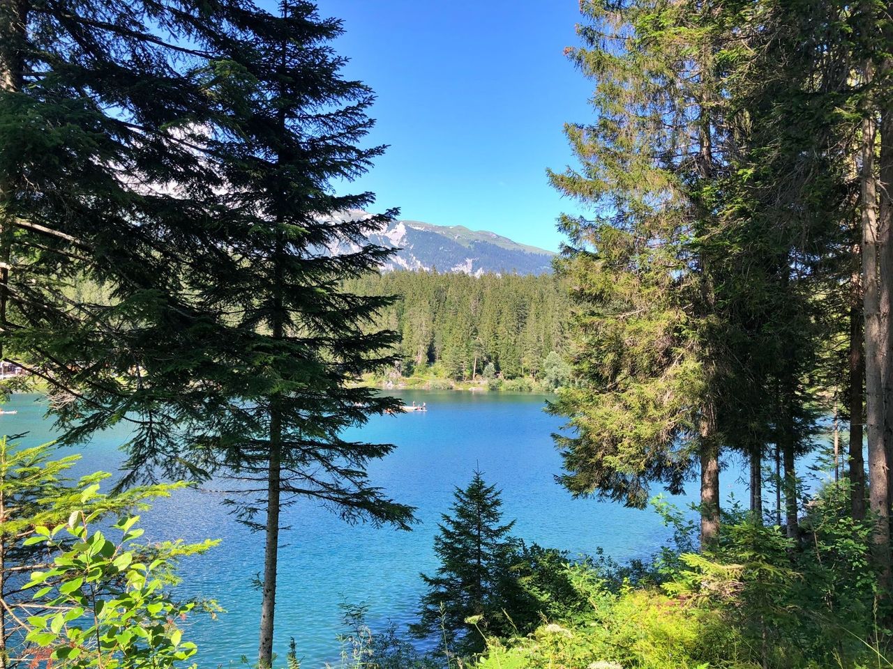 Flims