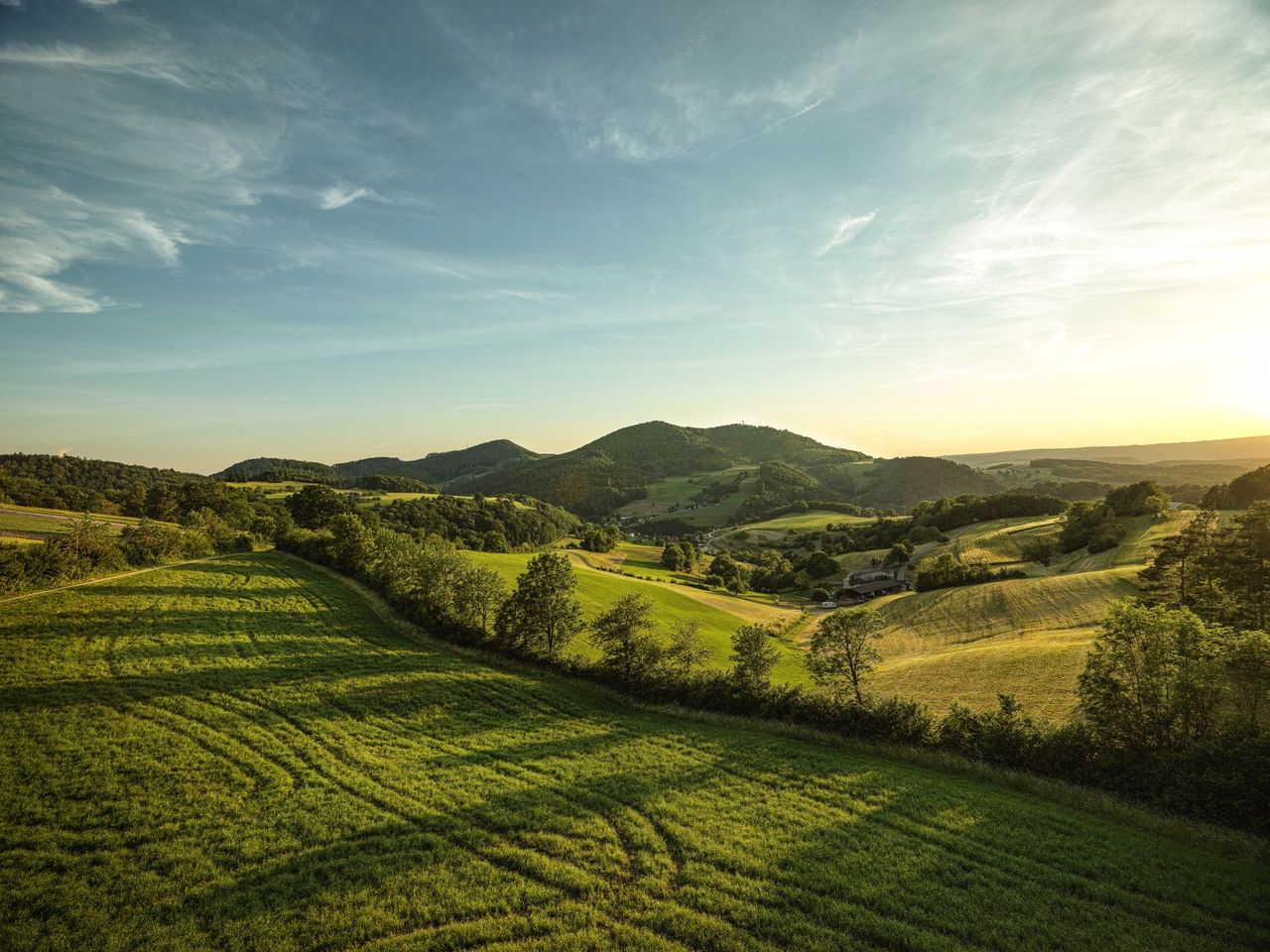 Orchideenwanderung im Jurapark Aargau