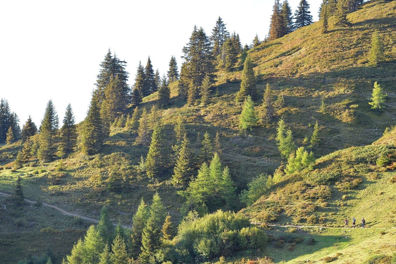 Selbstgeführte Genusswanderung von Brambrüesch nach Pradaschier