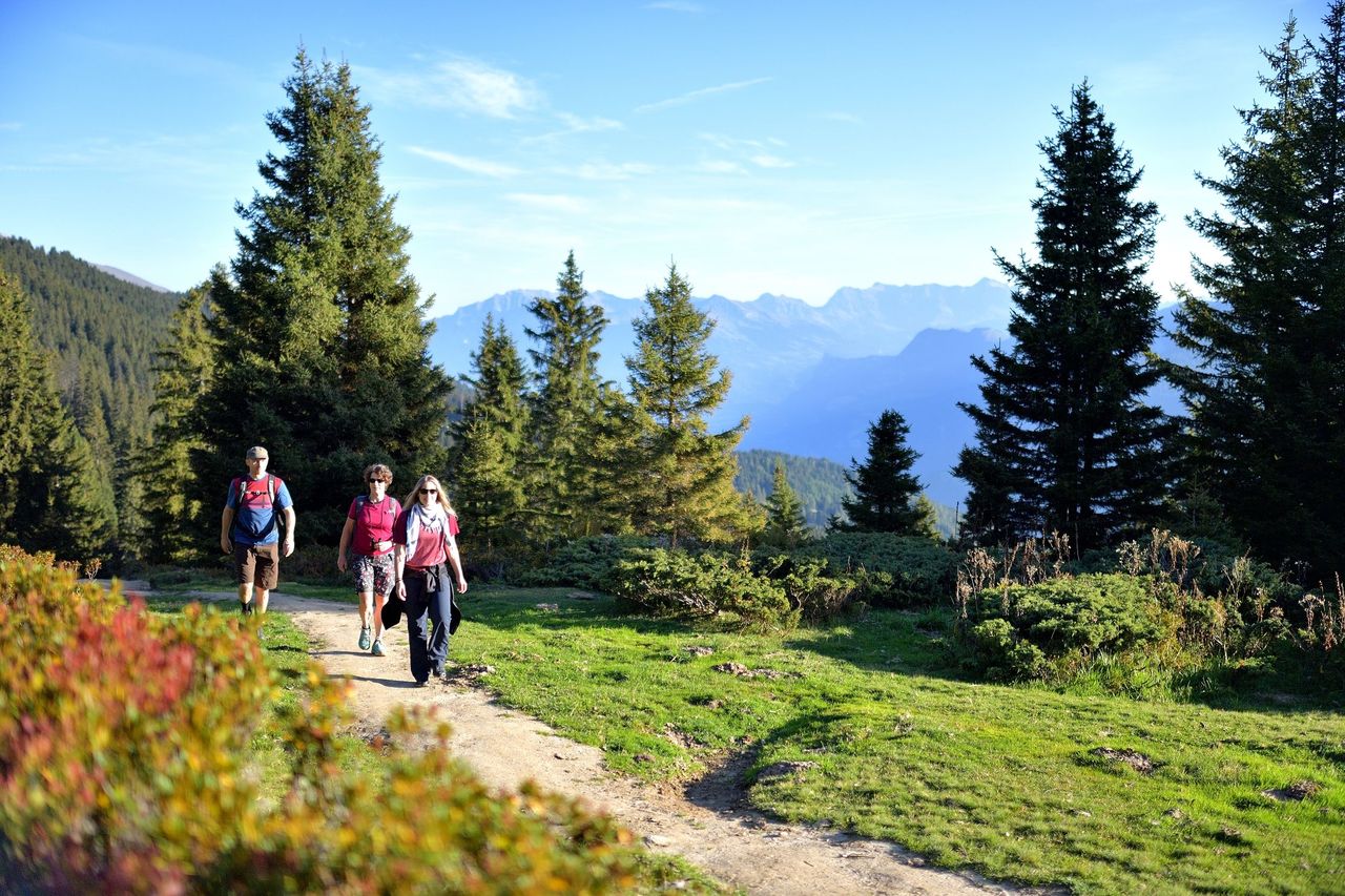 Selbstgeführte Genusswanderung von Brambrüesch nach Pradaschier