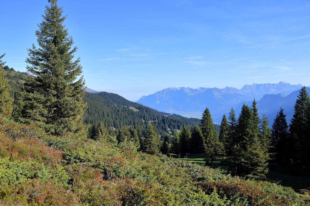Selbstgeführte Genusswanderung von Brambrüesch nach Pradaschier