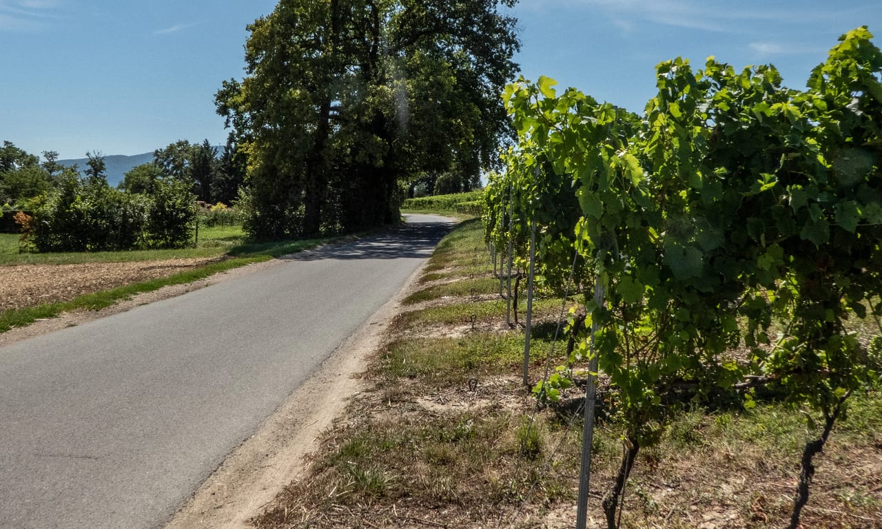 Collonge-Bellerive