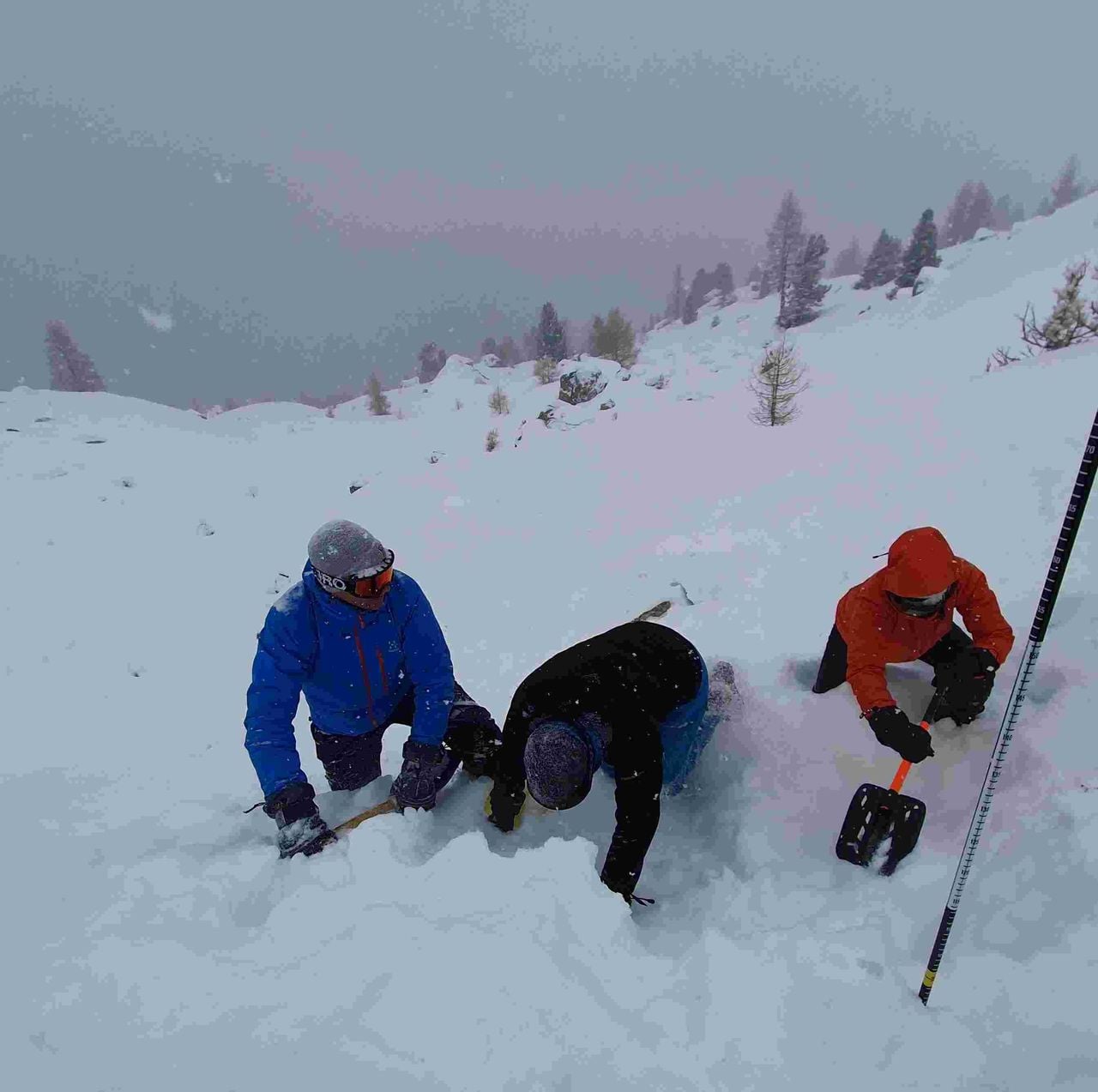 Basis Lawinenkurs im Wallis
