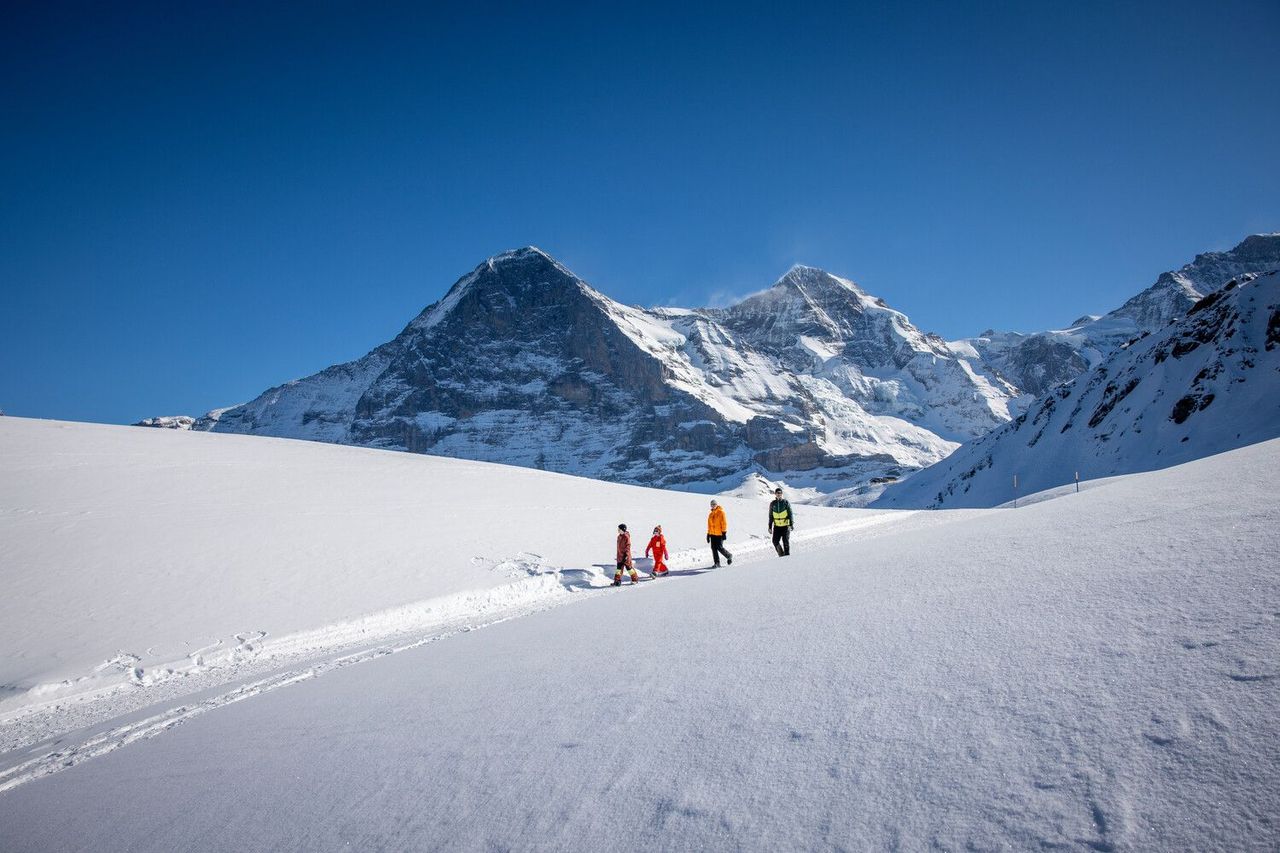 Wanderticket Grindelwald - Holenstein mit der Gondelbahn  