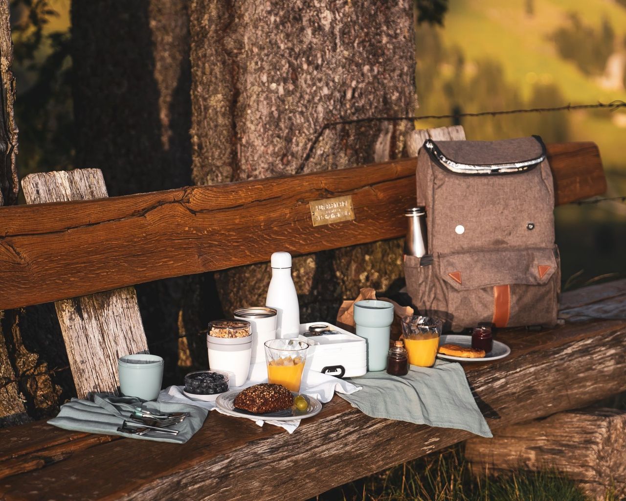 Breakfast picnic on the Rigi
