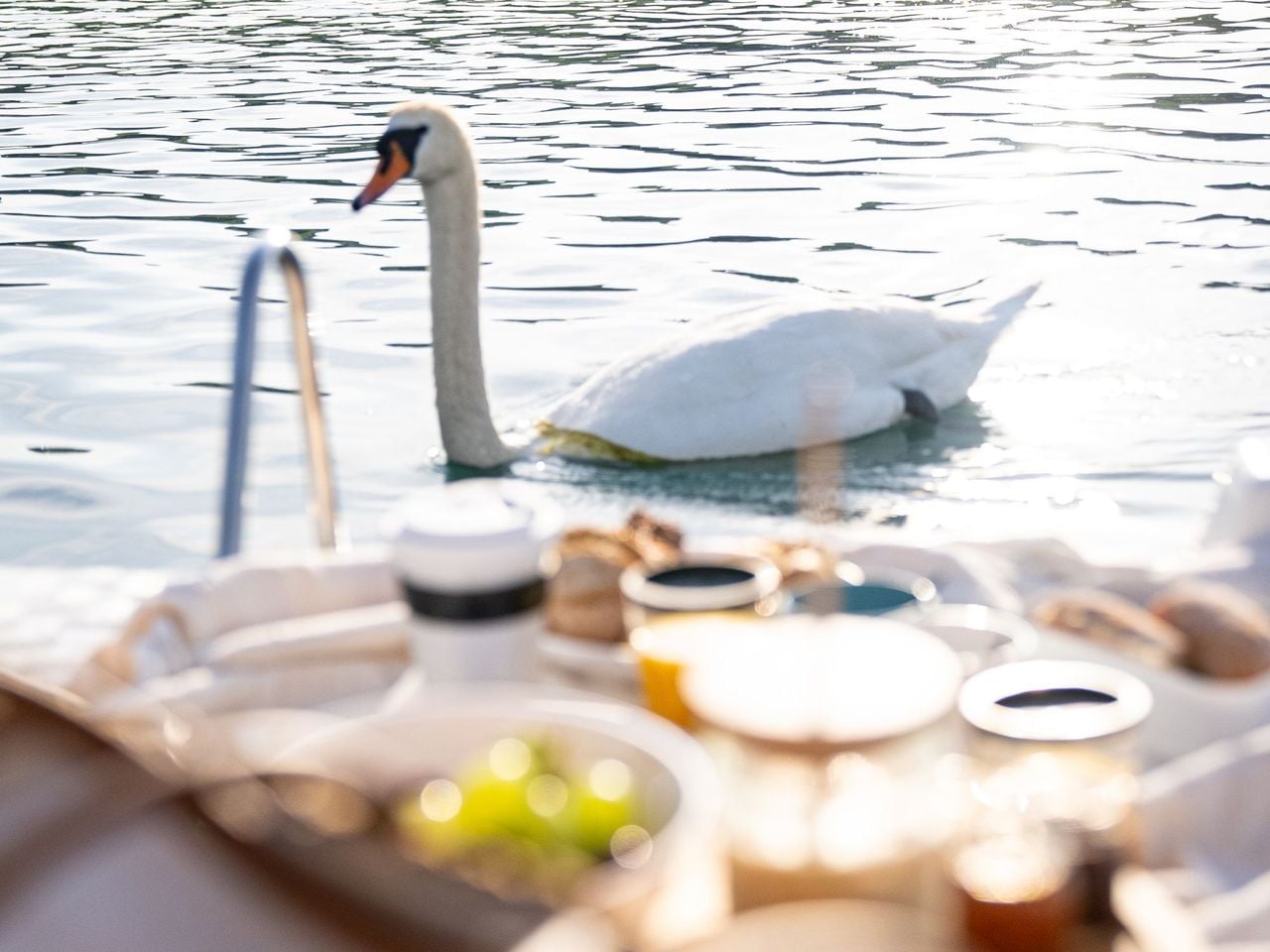 "Pedalo Z'Morge": Frühstück auf dem Vierwaldstättersee