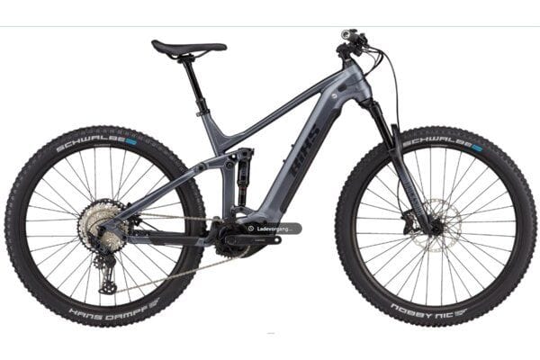 E-Mountainbike mieten in Grindelwald