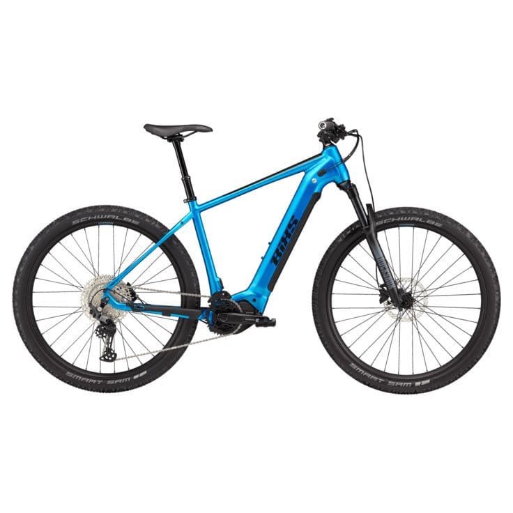 E-Mountainbike mieten in Grindelwald
